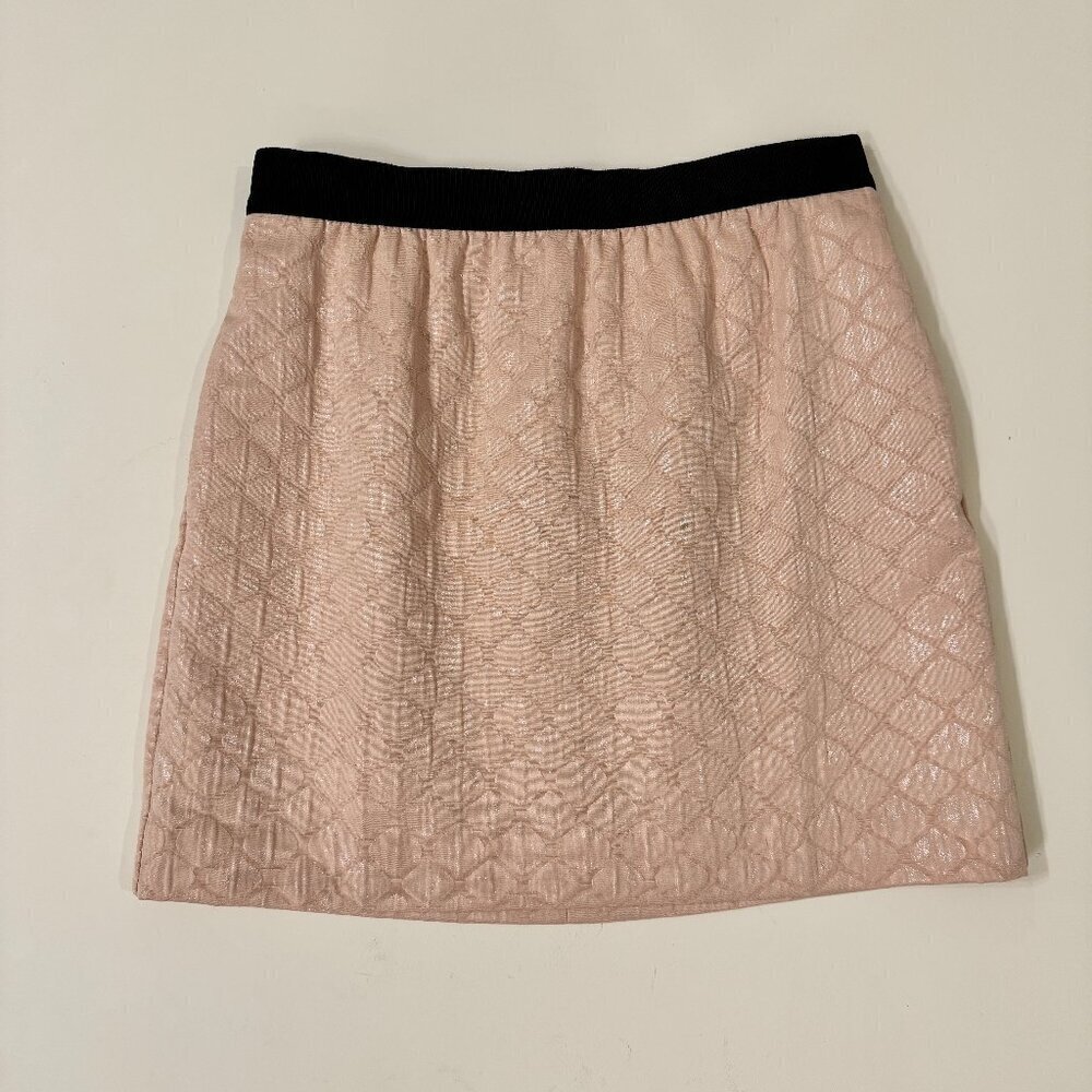 Loft Petites - Shimmer Metallic Mini Skirt in Pink and Black